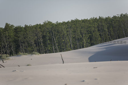 白沙滩与绿树林相映成趣的美景