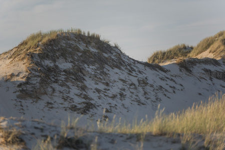 夕阳下草丛覆盖的沙丘特写