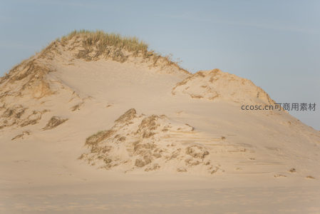金色沙丘顶覆绿草如冠的壮丽景象
