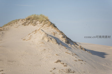 沙丘斜坡草甸与飞鸟掠过的天际