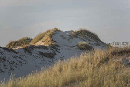 沙丘之上，草甸随风轻舞的柔美曲线