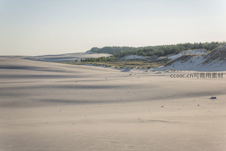 无垠沙海，远林如黛勾勒天地边界