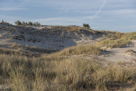 沙丘起伏草摇曳，海岸风光静谧美