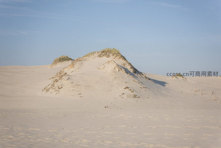 沙丘如浪草为冠，空旷天地显辽阔