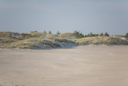 沙海涟漪：草甸点缀的流动地貌