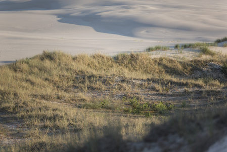 草甸沙丘光影交错如画