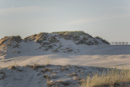 夕阳下沙丘草坡温柔轮廓