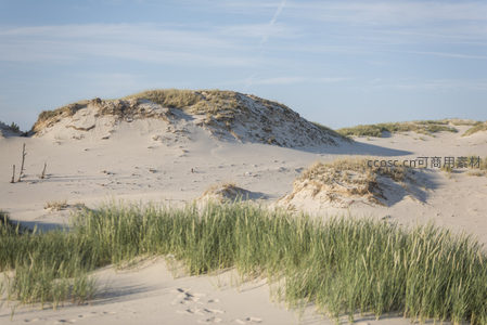 沙丘绿草映蓝天