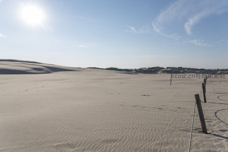 广阔沙滩与木栅栏