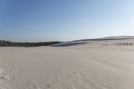 晴空下延绵起伏的金色沙丘