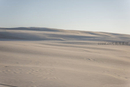 广袤沙丘在阳光下延绵起伏