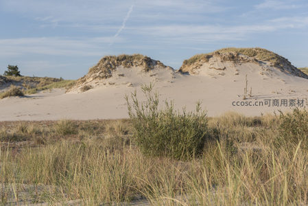 沙丘群落与蓝天白云相映