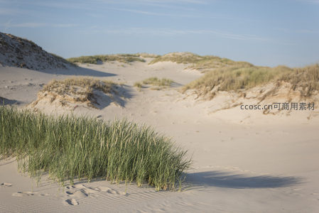 沙丘间绿草如茵，足迹轻印沙面如诗如画