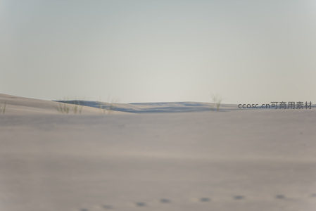 朦胧沙丘远景中几株孤草点缀寂寥天地
