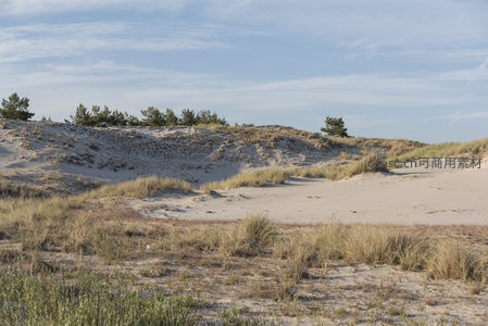 风吹沙动草色黄绿相映成趣