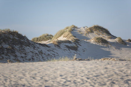 沙丘起伏如波浪般壮丽