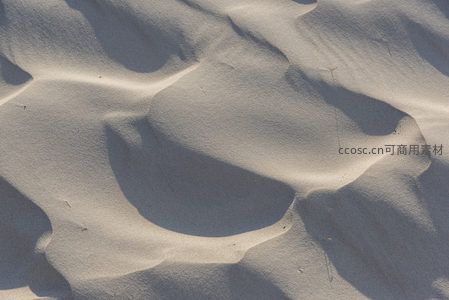 阳光勾勒沙丘起伏的柔和曲线