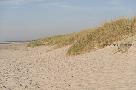 海岸沙丘延展至远方海天相接处