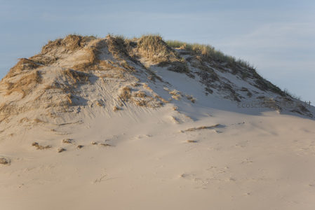 草顶沙丘的温柔曲线