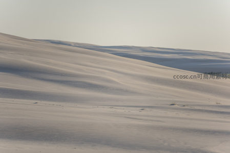连绵起伏的沙丘在阳光下泛着柔和光芒