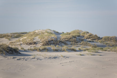 广阔沙丘连绵如波浪