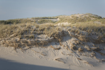 沙丘斜坡上的风蚀纹理