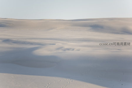 风蚀沙丘上的细小动物足迹