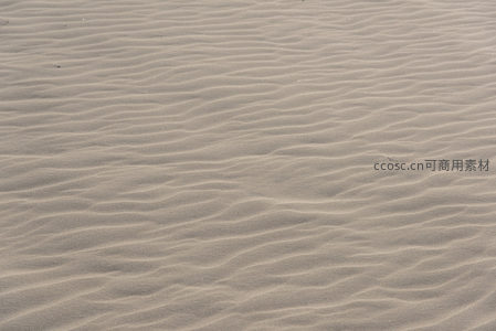 细腻沙纹如波浪般延展无边