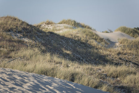 沙丘草甸光影交错的自然画卷