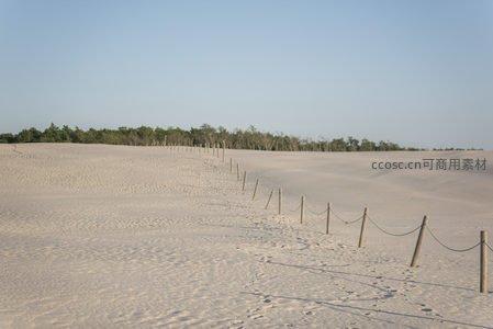 沙滩小径通向远方绿林