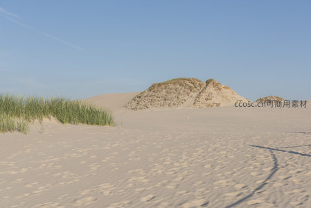 海风轻拂的沙丘草甸