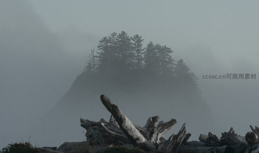 雾锁孤峰与漂木海岸