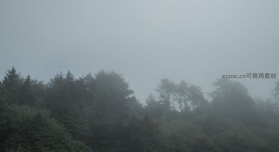 云雾缭绕山巅，松林隐现若仙境