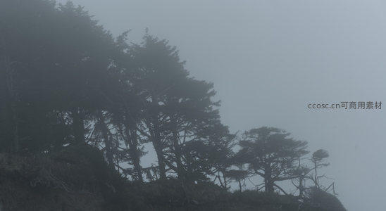 山崖雾树，意境悠远