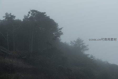 云雾缭绕，山林深处的幽秘世界