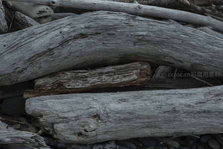 特写风化木纹，记录时光侵蚀的沧桑痕迹
