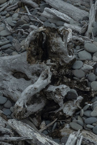 海滩枯木与鹅卵石交织的静谧画面