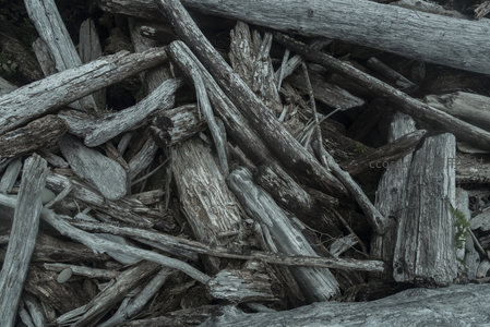 杂乱交错的漂浮木柴堆成小山