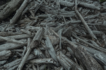 特写镜头下，层层叠叠的朽木交织，展现自然的原始肌理。