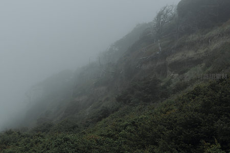 雾锁山崖，苍翠隐现幽深景