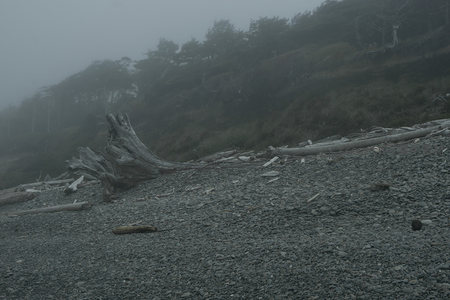 雾锁山崖，枯木静卧石滩