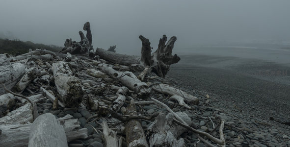 灰蒙天空下堆叠的海岸朽木群像