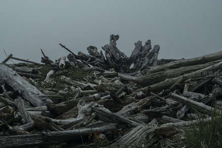 灰雾下的朽木堆，自然雕塑