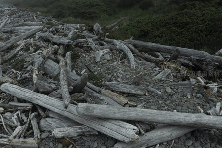 堆叠的漂流木在石滩上形成天然雕塑