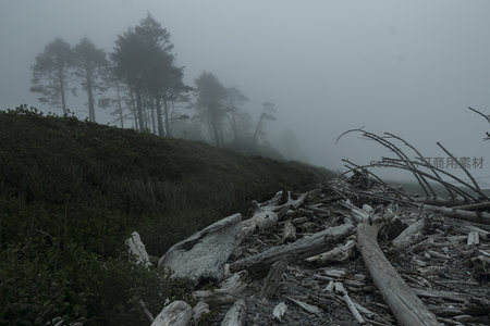 雾霭山林与漂木滩相映