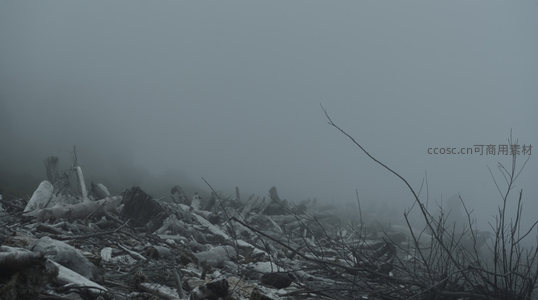 雾中乱木堆叠的荒芜海岸废墟感
