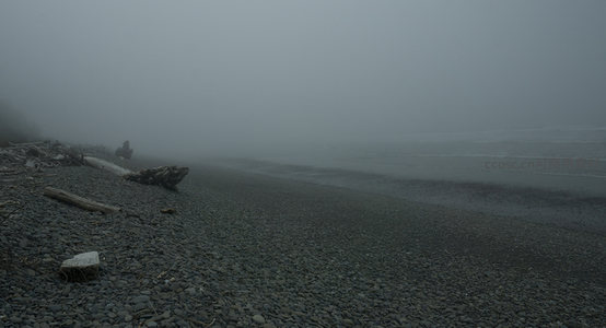 迷雾海岸，一人独坐听潮声