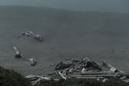 雾霭中的海岸遗骸
