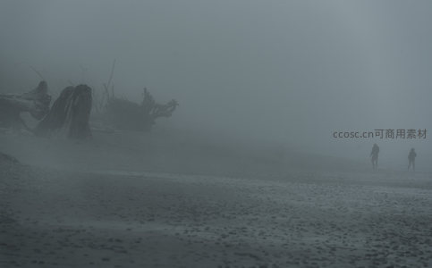 迷雾海滩人影疏离