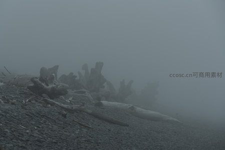 雾霭中的海岸残骸，时光印记